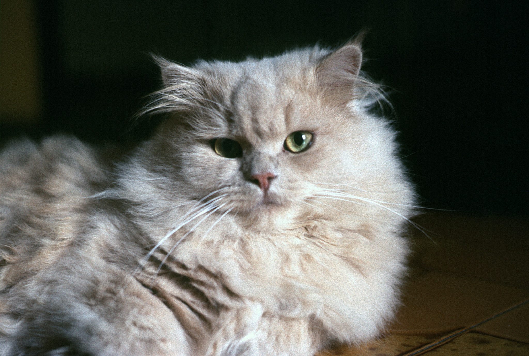 Rosso-CONVERTITO-min-2048x1380